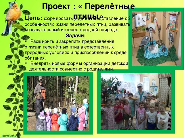 Презентация "Развитие познавательной активности у детей 4-5 лет через экспериментально - исследовательскую деятельность"