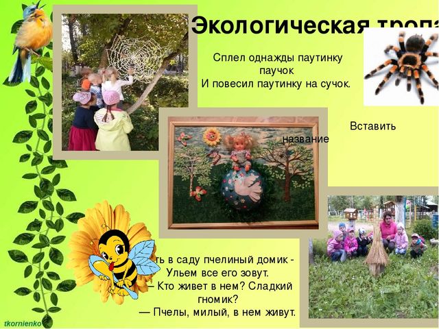 Презентация "Развитие познавательной активности у детей 4-5 лет через экспериментально - исследовательскую деятельность"