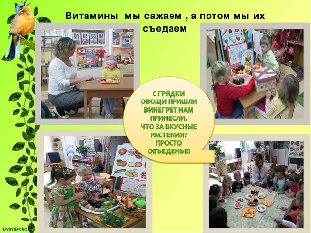Презентация "Развитие познавательной активности у детей 4-5 лет через экспериментально - исследовательскую деятельность"