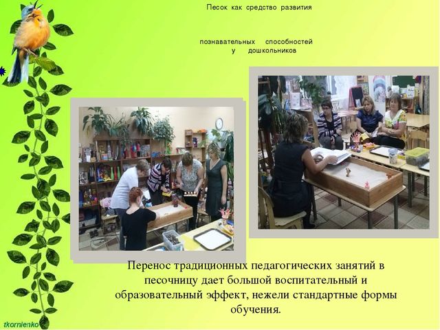 Презентация "Развитие познавательной активности у детей 4-5 лет через экспериментально - исследовательскую деятельность"