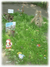 Picture 13