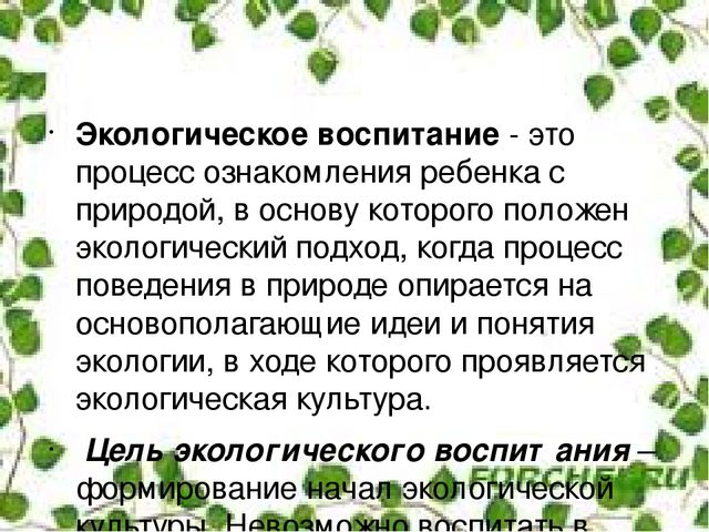 Презентация"Дидактические игры как средство формирования экологической культуры"