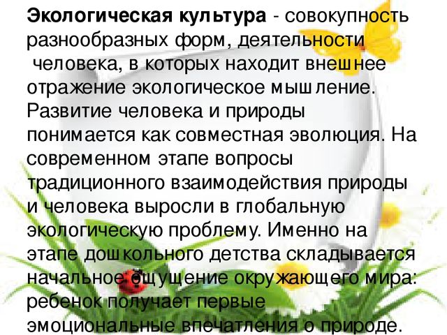 Презентация"Дидактические игры как средство формирования экологической культуры"