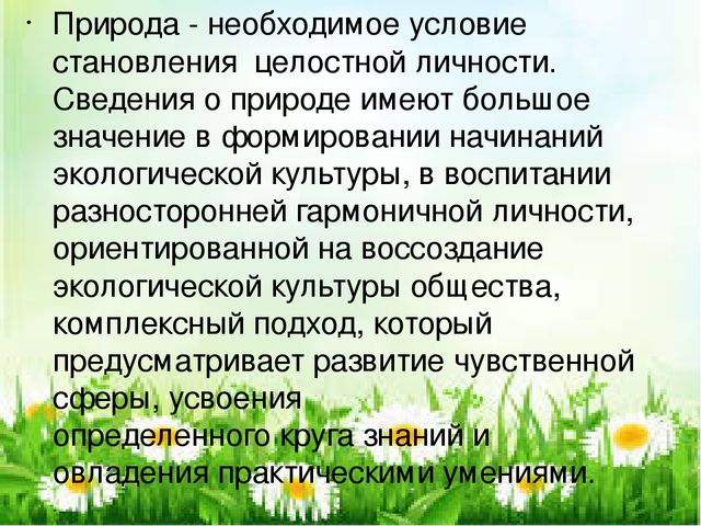 Презентация"Дидактические игры как средство формирования экологической культуры"