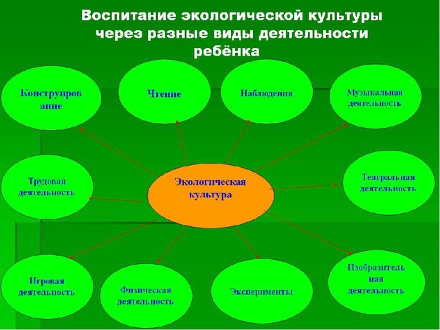Презентация"Дидактические игры как средство формирования экологической культуры"