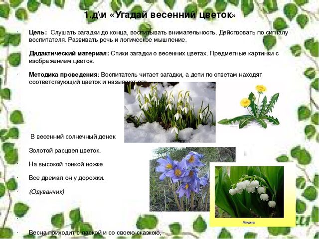 Презентация"Дидактические игры как средство формирования экологической культуры"