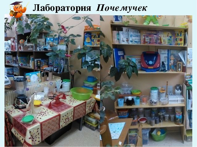 Презентация " Влияние профессиональных компетенций педагога на развитие познавательно-исследовательской деятельности дошкольников"