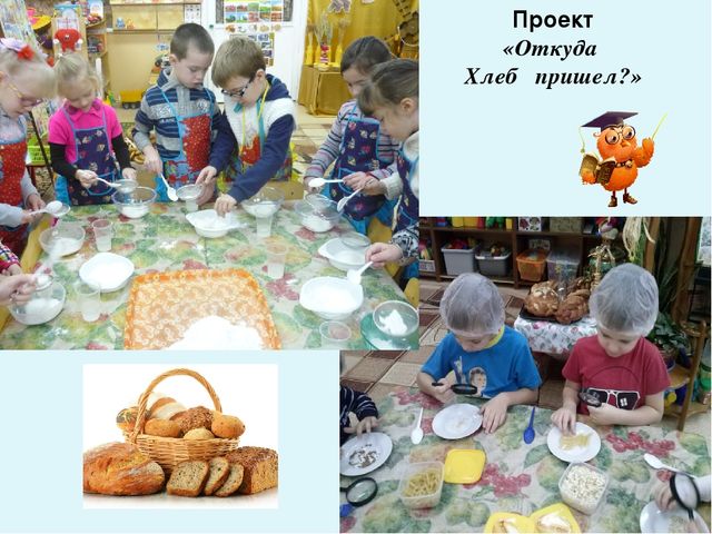 Презентация " Влияние профессиональных компетенций педагога на развитие познавательно-исследовательской деятельности дошкольников"