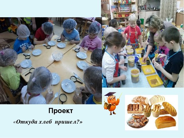 Презентация " Влияние профессиональных компетенций педагога на развитие познавательно-исследовательской деятельности дошкольников"