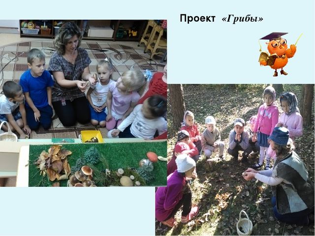 Презентация " Влияние профессиональных компетенций педагога на развитие познавательно-исследовательской деятельности дошкольников"