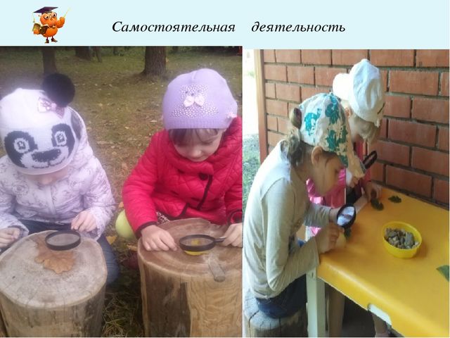 Презентация " Влияние профессиональных компетенций педагога на развитие познавательно-исследовательской деятельности дошкольников"