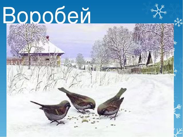 Презентация детям дошкольного возраста "Зима" (приметы, животные, забавы)