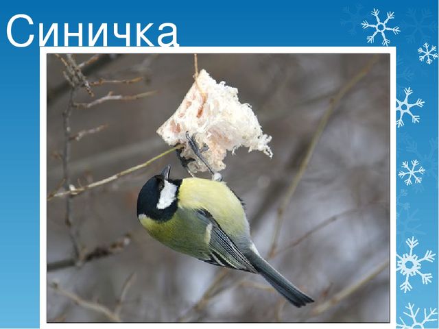 Презентация детям дошкольного возраста "Зима" (приметы, животные, забавы)