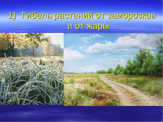 Презентация "Температура и ее измерение