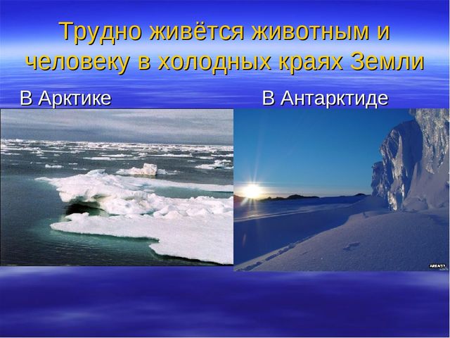 Презентация "Температура и ее измерение