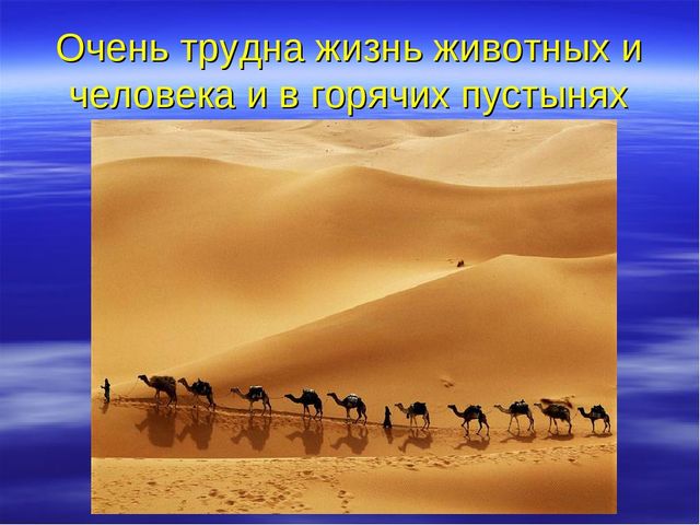 Презентация "Температура и ее измерение