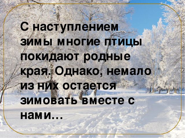 Презентация на тему "Зимующие птицы"