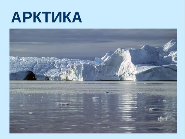 Презентация по окружающему миру на тему "Арктика"