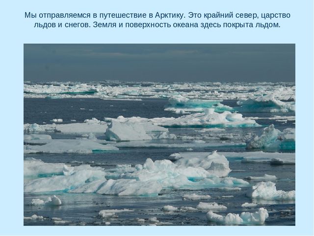 Презентация по окружающему миру на тему "Арктика"