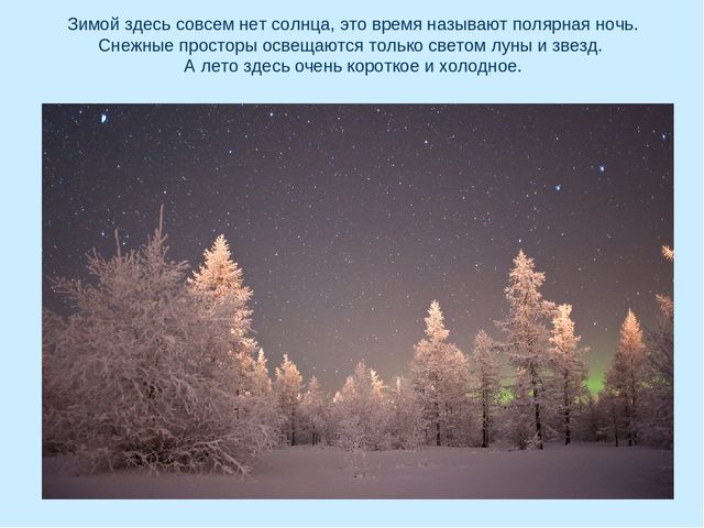 Презентация по окружающему миру на тему "Арктика"