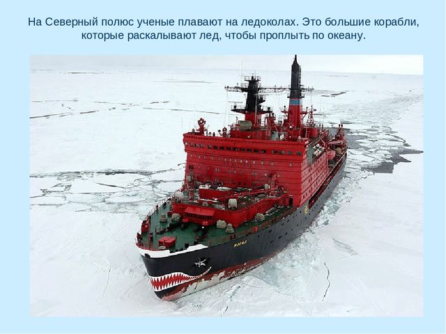 Презентация по окружающему миру на тему "Арктика"