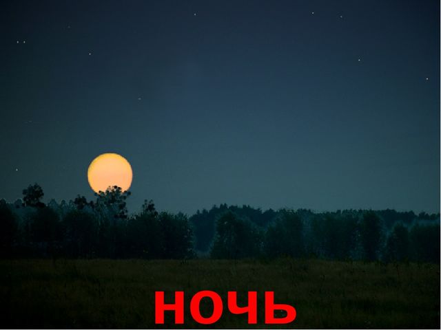 Презентация на тему "В мире природы"