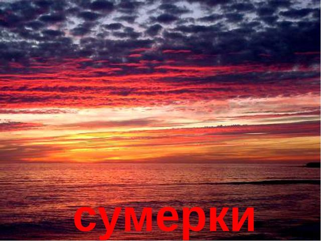 Презентация на тему "В мире природы"