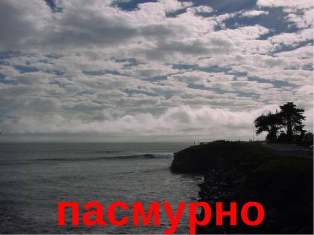Презентация на тему "В мире природы"