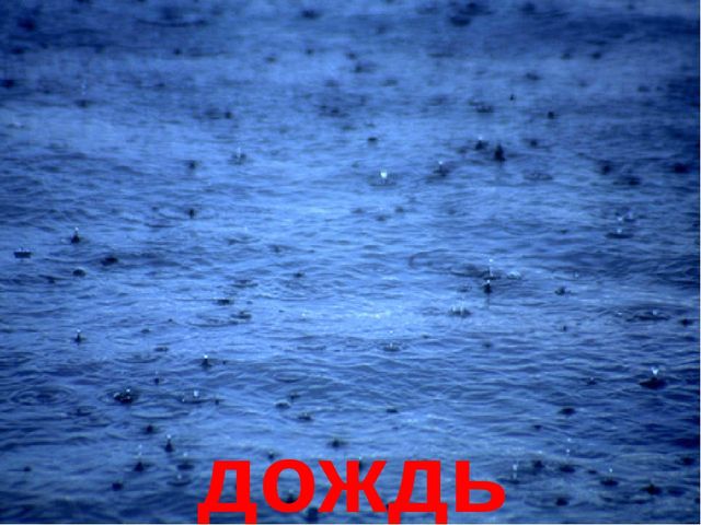 Презентация на тему "В мире природы"