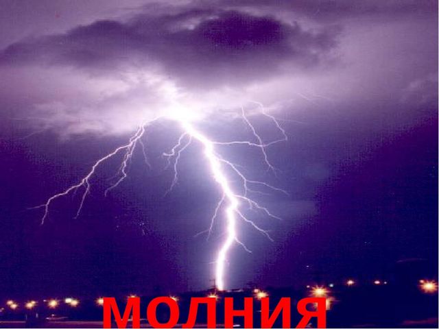 Презентация на тему "В мире природы"