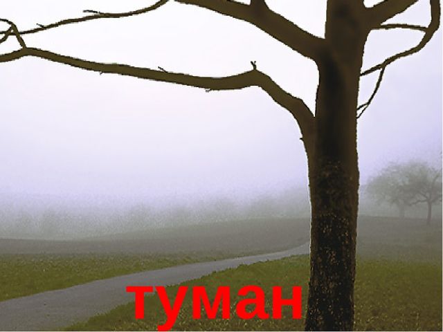 Презентация на тему "В мире природы"