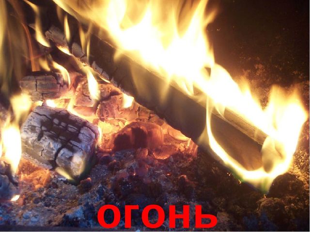 Презентация на тему "В мире природы"