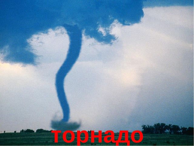 Презентация на тему "В мире природы"