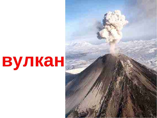 Презентация на тему "В мире природы"