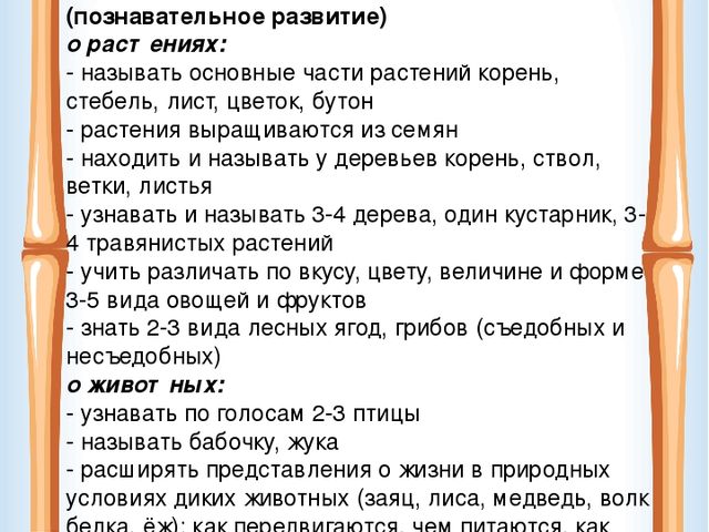 Информация для родителей средней группы