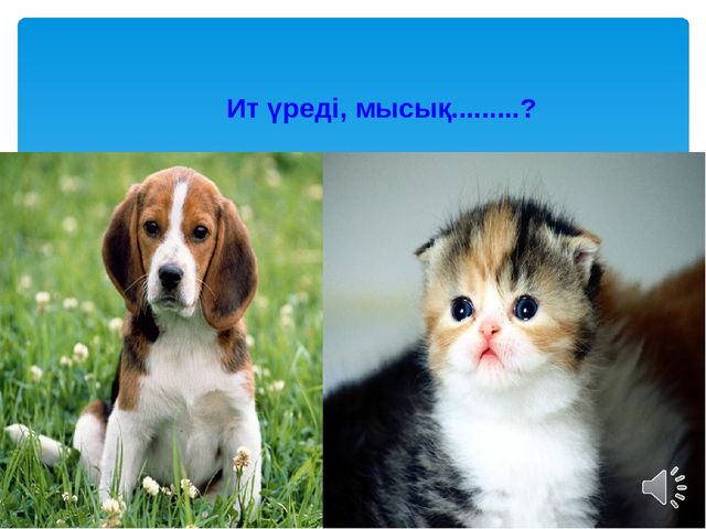 Ашық сабақ:"5 саны мен цифры"