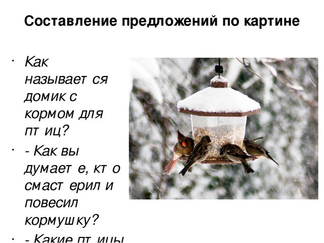 Ознакомление с окружающим миром в средней группе на тему "Зимующие птицы" (презентация)