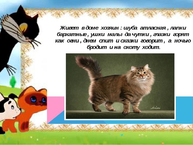 Презентация "Я и моя кошка"