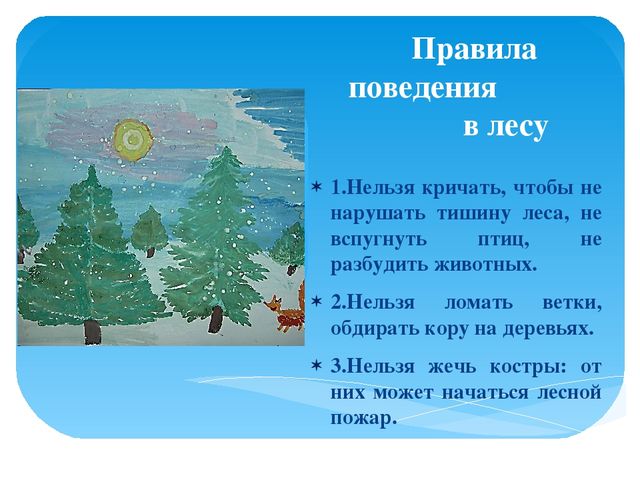 Презентация по экологии "В зимнем лесу"