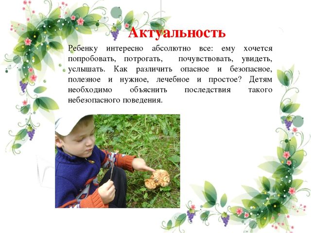 Презентация педагогического опыта по теме"Формирование основ безопасного поведения в природе у детей дошкольного возраста"