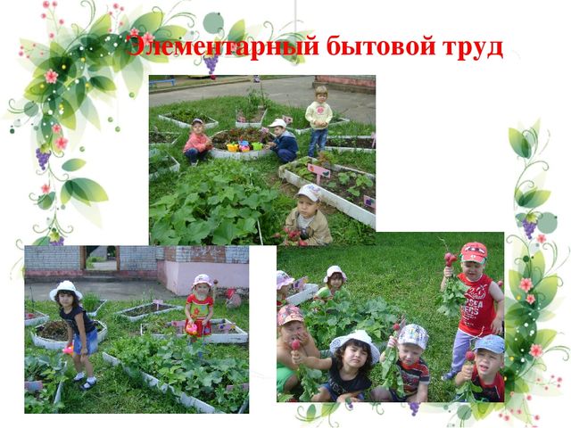 Презентация педагогического опыта по теме"Формирование основ безопасного поведения в природе у детей дошкольного возраста"