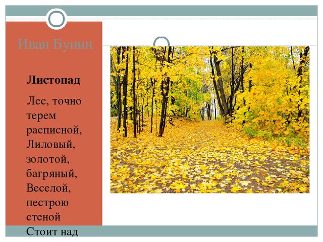 Листопад бунин в сокращении 4 класс. Бунин Иван Алексеевич лес точно Терем расписной. Иван Алексеевич Бунин листопад. Иван Алексеевич Бунин листопад отрывок. Ивана Алексеевича Бунина листопад.