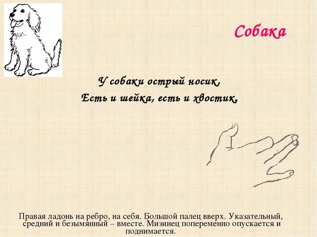 Презентация "Игры с пальчиками"