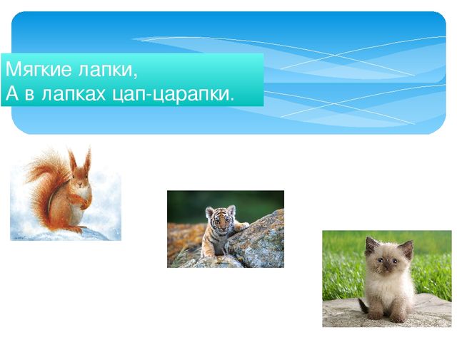 Презентация для дошкольников "Дикие и домашние животные"