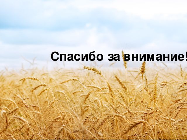 Презентация проектной деятельности с детьми младшего возраста "Маленькие пекари"