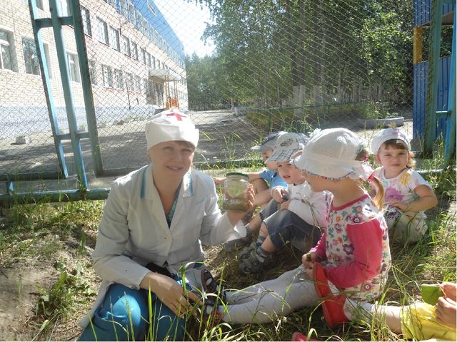 Презентация "Мать-и-мачеха".Образовательная область"Познавательное развитие"