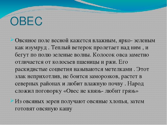 Презентация Каша-пища наша старшая группа