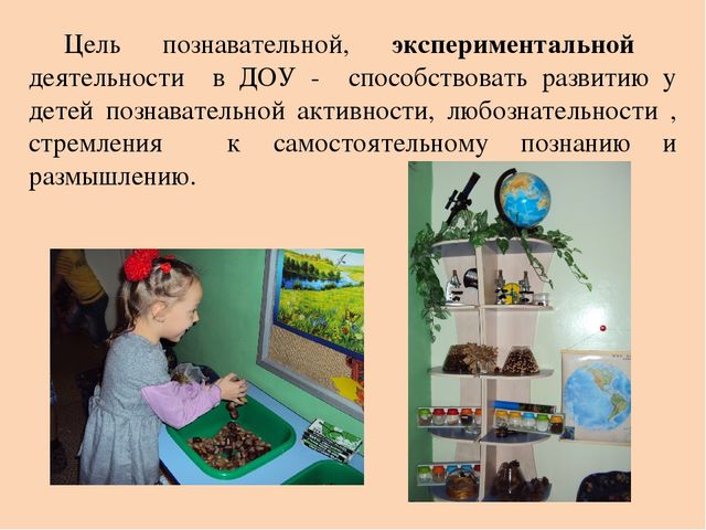 Презентация на тему: Развитие творческо-познавательной активности дошкольников в процессе детского экспериментирования