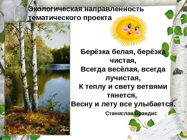 Презентация по экологическому воспитанию "Люблю берёзку русскую!