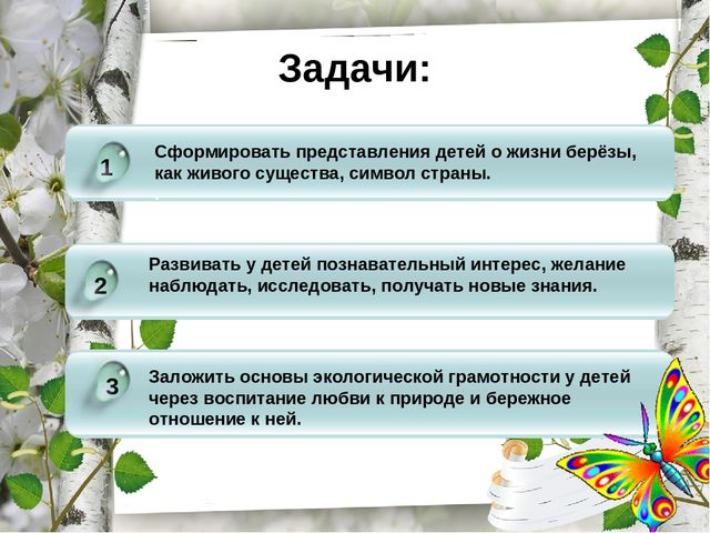 Презентация по экологическому воспитанию "Люблю берёзку русскую!